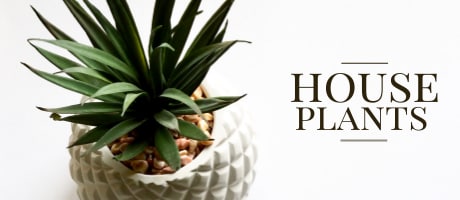 Beautiful Seasonal Flowers Banner